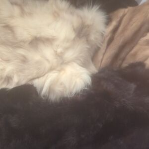 Luxurious Faux Fur Throw Blanket